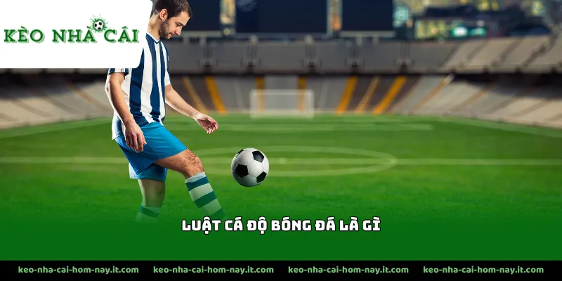 Người chơi cần nắm rõ quy tắc thi đấu 1 trận chính thức