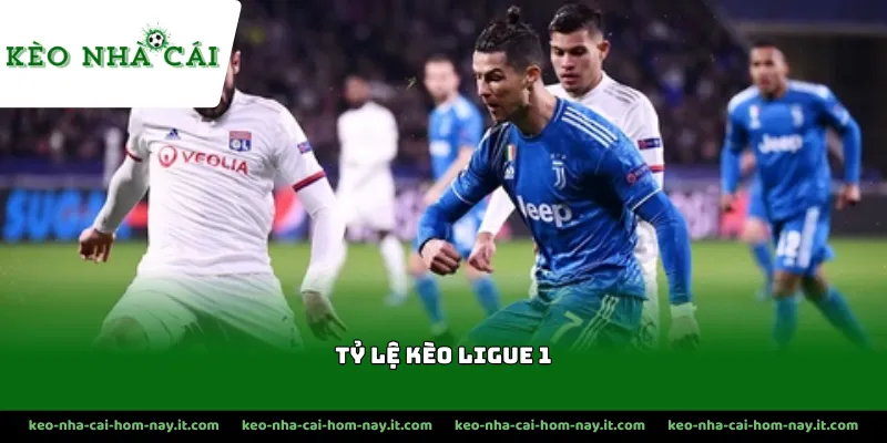 Đặc điểm cơ bản của tỷ lệ kèo Ligue 1